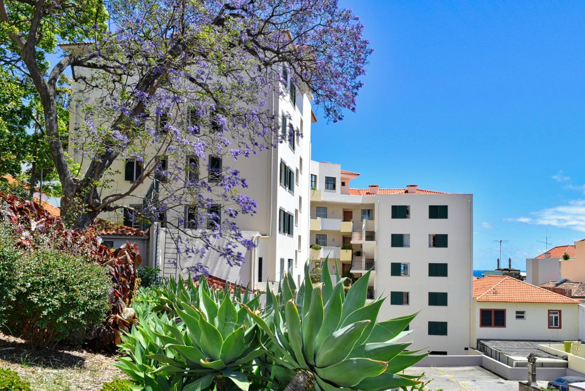 Encarnacao Apartment, A Home In Madeira Funchal  Esterno foto